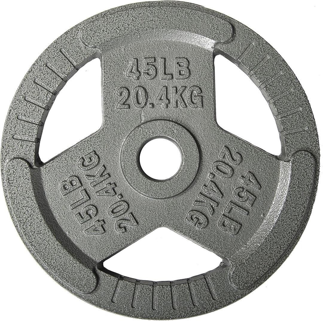 Fitvids Cast Iron Plate Weight Plate for Strength Training and Weightlifting, 2-Inch Center, 45LB (Single)