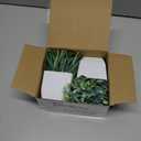 Der Rose 2 Pack Small Fake Plants Mini Artificial Potted Plants for Table Desk Home Laundry Room Bathroom Office Decor