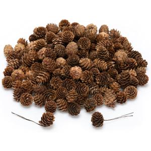 Lescli 84 Pcs Natural Mini Pine Cone Kit with Brown Iron Wires for DIY - 0.6"-1.2" Small Pinecones Ornaments Bulk for Crafts, Vase Filler, Wrap, Fall, Wedding, Home (Natural)