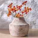 FancyPlus Ceramic Flower Vase, 5.3 in Rustic Farmhouse Vase, Small Handcrafted Weathered Pottery Vases, Decorative Terracotta Vases for Flower, Living Room, Centerpieces, Table, Home Decor