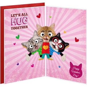 D24TIME Funny Valentines Day Cards Gifts for Him Her Boyfriend Girlfriend Husband Couple Valentines Anniversary Love Card Gift for Kids Family Friends Cat Lovers Birthday Greeting Cards with Envelopes, Pack of 2