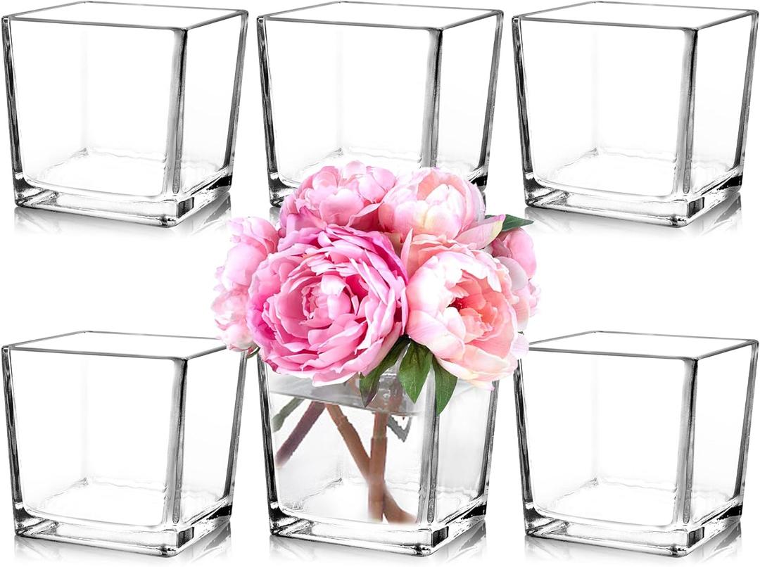 Set of 6 Square Glass Vases 5" x5" x 5", Clear Flower Vases for Centerpieces, Candle Holder for Wedding Party Events, Home Dcor