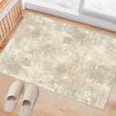 Abstract Small Carpet 2x3 Washable Cream Beige Area Rugs Doormat for Entryway Living Room Bedroom Washing Room Non Slip