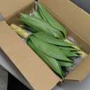 Velener 28 Inch Artificial Agave Plants Outdoor Set, Large Fake Plants Indoor for Home Decor, Realistic UV Resistant Faux Succulents Plants Without Pot, Set of 2