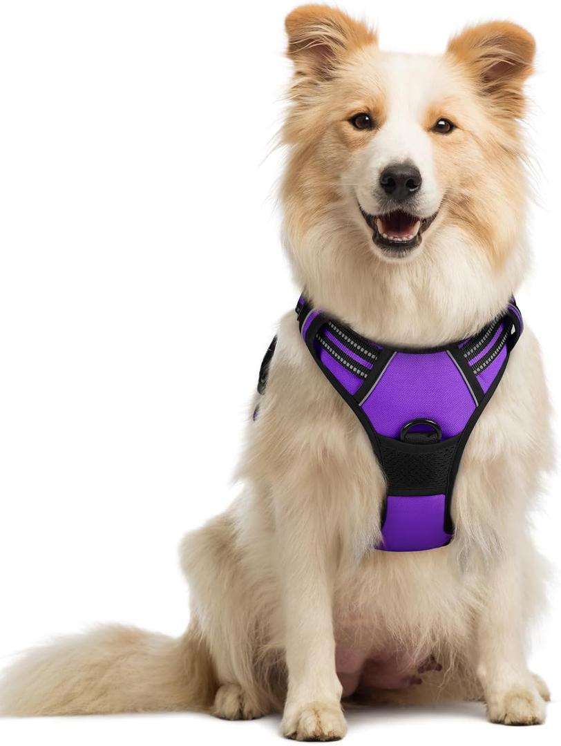 rabbitgoo Dog Harness No Pull with 2 Leash Clips, Adjustable Soft Padded, Reflective Oxford No Choke Pet Vest with Easy Control Handle for Medium Sized Dogs, Purple, Medium