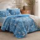 Bedsure Summer Quilt Queen Size - Lightweight Floral Comforter Queen Size, Blue and White Bedspread Quilted Bedding, Reversible Soft Microfiber Coverlet for All Seasons (90"x96") | Lightweight, Summer, Reversible, Ultra Soft, Floral