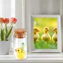 3 x Valentines Day Gift Romantic Gift for Her & Him  Cute Anniversary, Wedding Present for Girlfriend, Boyfriend, Wife, Mom, Home Wall Dcor