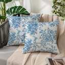 Blue and White Porcelain Floral Bird Pillow Covers 18x18, Flower Floral Chinoiserie Couch Pillow Case Set of 2, Modern Decorative Square Throw Pillows for Living Room