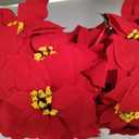 HOMESEASONS 2 Pack 18" Lighted Large Artificial Poinsettias for Outdoors LED Poinsettia Flowers Artificial Faux Poinsettia Plants Poinsettia Christmas Decorations for Office Home Kitchen Decor
