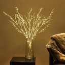 BAOLITVINE Lighted White Twig Branches 32In, Warm White Fairy Lights, Lighted Willow Branches Plug in with Timer, Dimmer for Home Bedroom Fireplace Christmas Decoration Inside Outdoor