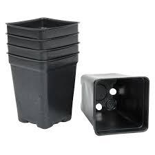 Pots For Seedlings