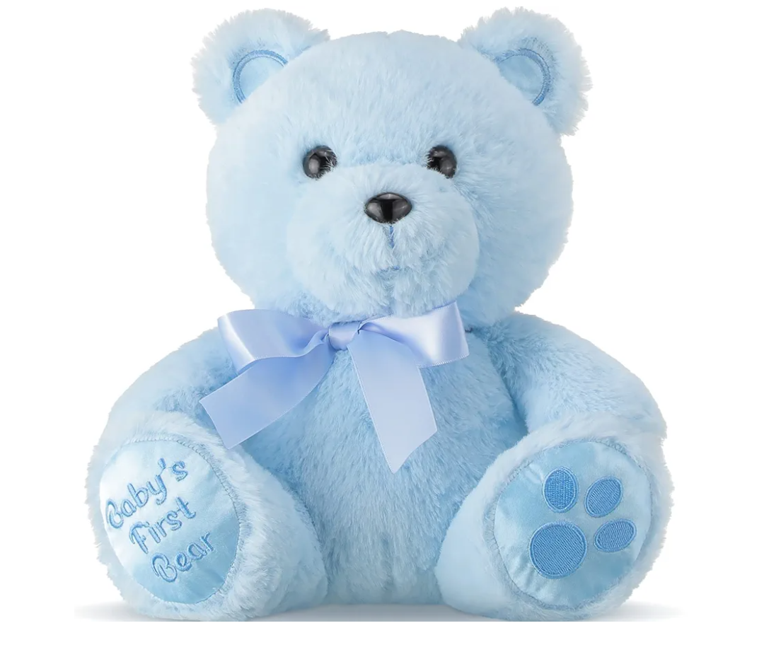 Chalyna 10 Inch Bear Stuffed Animal Gift First Bear Baby Shower Plush Toy for Wedding Birthday Back to School Gift(Blue)