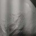 APSMILE King Luxury Organic Cotton All Season Down Feather Fibers Comforter, High Fill-Power Medium Warmth Duvet Insert (106x90, Ivory White)