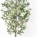 Artificial Olive Trees with Lifelike Natural Trunk, Leaves, Moss and Fruits, 6FT Tall Faux Olive Tree with White Versatile Nursery Pot, Fake Plants for Indoor Home Decor, Office Decor, Room Decor