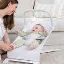 Baby Delight Alpine Deluxe Portable Bouncer | Infant | 0-6 Months | Driftwood Grey (30.31"D x 18"W x 23.23"H)
