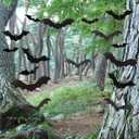 2 x 12 Pack Halloween Decorations Hanging Bats - 3 Style Scary Hanging Bat Set with 3D Bats Sticker, Outdoor Scary Flying Bats Set for Yard, Haunted House, Party - Indoor Outdoor Waterproof Decor