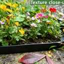 A ANLEOLIFE 60FT Plastic Landscape Edging, 2" Tall No-Dig Black Garden Border with 72 Spikes, Heavy-Duty Flexible Lawn Coil, Grass Barrier & Easy Install