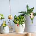 Miniature Frog Figurines Plant Decorations for Pots, 3Pcs Frog Statue Planter Hugger for Flower Yard Lawn Ornament