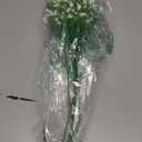 MAQIAHN 6 Baby Breath Artificial Flowers - Babies Breath Flowers Artificial Bulk Faux Flowers Bouquet White Flores Greenery Real Touch Fake Flowers Arrangements Wedding Centerpieces Tables Decorations