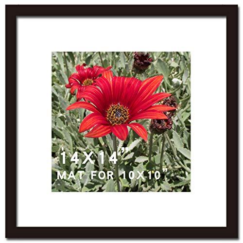 SKAOTUS 14x14 Picture Frame Black Solid Wood for Mat 10x10 Wall Mounting Square Poster Photo Frames