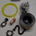 Carburetor Carb + Air Filter Replacement for Stihl MS291 MS261 MS271C MS291C Chainsaw Replacement for Zama Carb C1Q-S252 with Tune Up Maintenance Service Gaskets Kit