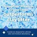PetSafe ScoopFree Premium Crystal Cat Litter - Outperforms Clay Litter - Refill Packs - Reusable Tray Compatible - Fresh Scent - 4.3 lb Bags - 2 Pack