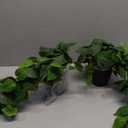 alyptus Fake Pothos Hanging Plants – 33" Set of 2 Faux Ivy Vines with Pots Realistic Silk Devil’s Ivy for Indoor Décor Low Maintenance Artificial House Plants for Home Bathroom or Office - Green