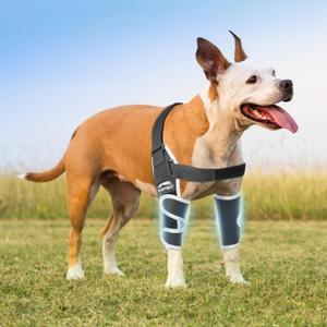 Dog Elbow Protector for Canine Elbow Dysplasia - Offers Elbow Warm and Stable, Reflective Pet Recovery Suit Taper Collar Alternative, Pet Wounds Prevent Licking, M