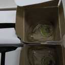 F15 40W Incandescent Light Bulbs, Daylight White 5000K,ge Light Bulbs 40 watt,Dimmable,E26 Medium Base,Vintage Wrinkle Glass Cover,4 Pack