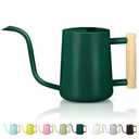 Watering Can Indoor Plants, 35oz Small Stainless Steel Metal Watering Can Modern Decorative Watering Pot with Long Spout for Indoor House Plant Bonsai Garden Flowers (Saga Green 1)