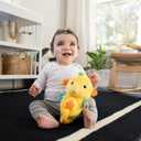Baby Einstein Sea Dreams Seahorse Plush Soother Toy, with Music and Lights, Ages 0 Months and Up, Yellow (9.05 x 5.91 x 4.72 in)