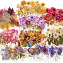 emmoolife Pressed Flower Stickers Set (380 PCS) Dried Flowers Themed Resin Sticker Decals Floral Botanical Journaling Stickers for Scrapbook Supplies Bullet Junk Journal Bottles Planner Laptops