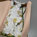Htmeing 38 Inch Artificial Phalaenopsis Flowers Branches Real Touch (Not Silk) Orchids Flowers for Home Office Wedding Decoration,Pack of 2 (White)