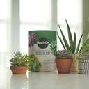 Miracle-Gro Succulent Potting Mix - Potting Soil Mix for Indoor Succulents, Aloe Vera and More, Made with Miracle-Gro Plant Food, 4 qt. (2-pack) (EXP 06/01/25)