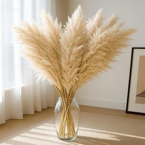 JOHOUSE 16PCS 40'' Dried Pampas Grass Home Decor - Fluffy Real Tall Pampas Grass for Floor Vase Boho Bedroom, Wedding & Rustic Farmhouse