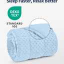 Mr. Sandman Weighted Blanket for Adults Queen Size 15 lbs, Soft Cooling Heavy Minky Blanket for Sleep, Washable Throw Blanket with Glass Beads, 60 x 80 Inches, Light Blue