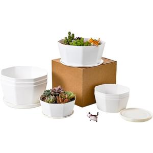 BangQiao 8 Pack 8.00 inch and 5.90 inch White Plastic Shallow Plant Pot, Octagon Bowl Planter Container with Pot Tray for Succulents, Cactus