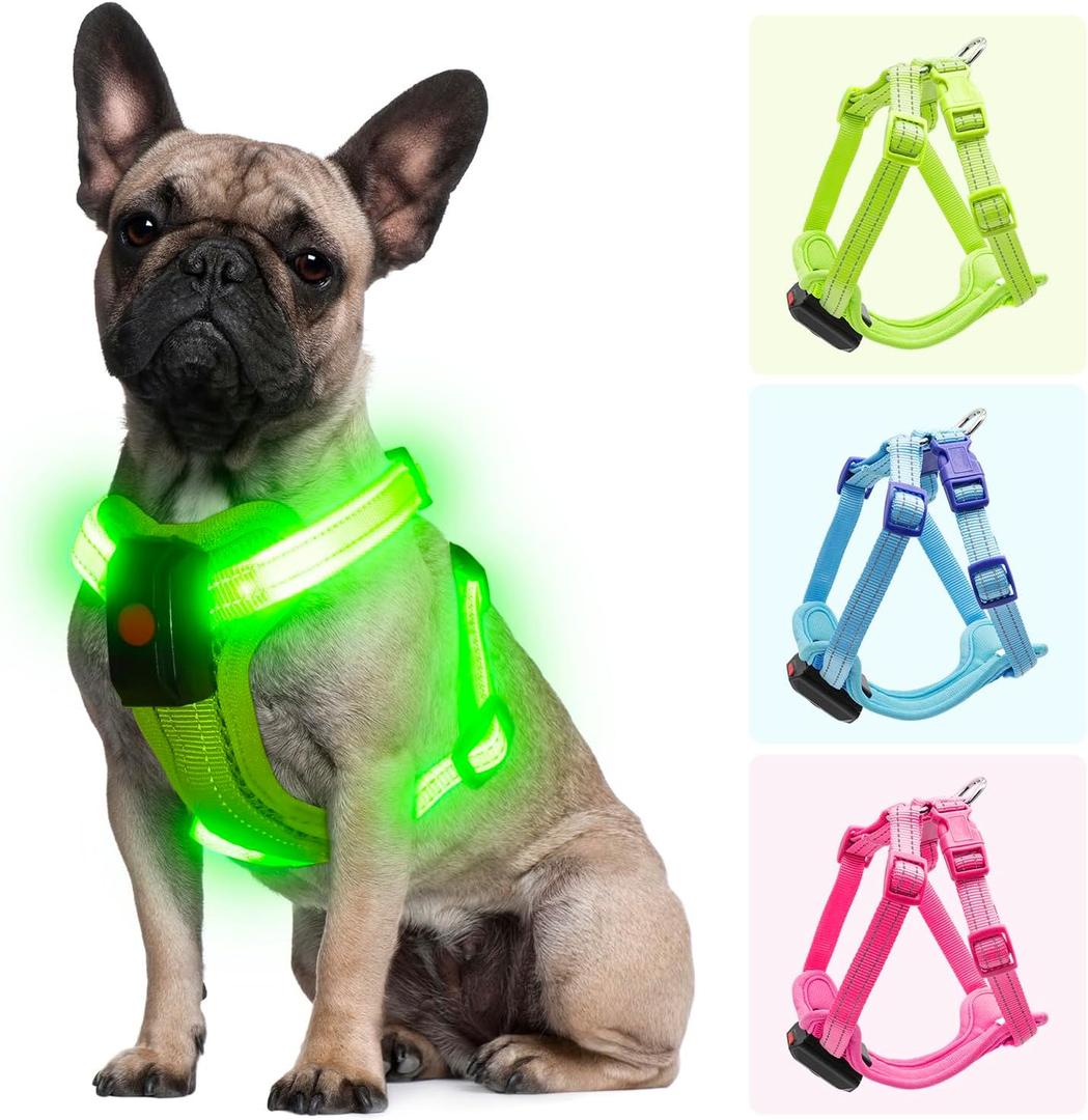 Light Up Dog Harness for Small Dogs Rechargeable, LED Dog Vest Harness, Adjustable Illuminated Glow in Dark Dog Harness for Puppy Night Safety Walking 360 True Illumination-Green