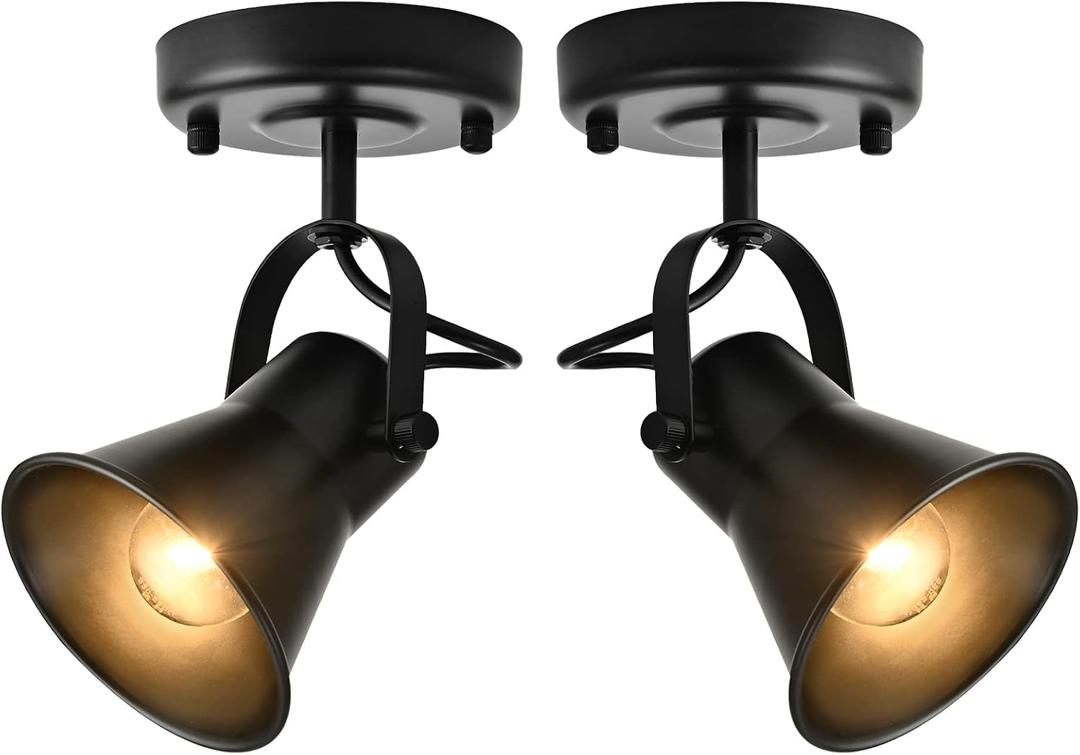 Track Light Modern Ceiling Spot Lighting Indoor, Adjustable Wall Mount Accent Light,for Bedroom Living Room Hallway Kitchen Painting(2 Pack)