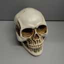 READAEER Resin Skull, Human Head Model for Home Decoration, Halloween Statue, Skull Model for Bookshelf and Desktop (White)