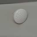 Watering Can Rose White