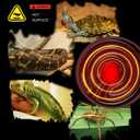 2 x OMAYKEY 100W 2 Pack Ceramic Heat Lamp Bulb Infrared Reptile Heat Emitter Heater Lamps Bulbs for Brooder Coop Chicken Lizard Bearded Dragon Turtle Snake Aquarium, No Light Emitted No Harm (ETL Listed)