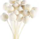 20Pcs Natural Dried Flowers Yellow Billy Balls Flowers 16" Dried Flower Bouquet Flowers Arrangements Bouquet for Boho Vases for Decor Wedding Home Party (White)