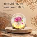 Preserved Flowers for Mom - Preserved Pink Roses in Glass Dome with LED Light for Girlfriend, Eternal Real Flowers for Women, Unique Long-Lasting Gift to Celebrate Christmas (Prime Delivery)