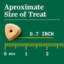 2 x Nutro Crunchy Dog Treats with Real Apple, 10 oz.Bag