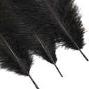 10pcs Natural Black Ostrich Feathers 14-16inch 35-40cm for Wedding Party Centerpieces, Easter Home Decorations