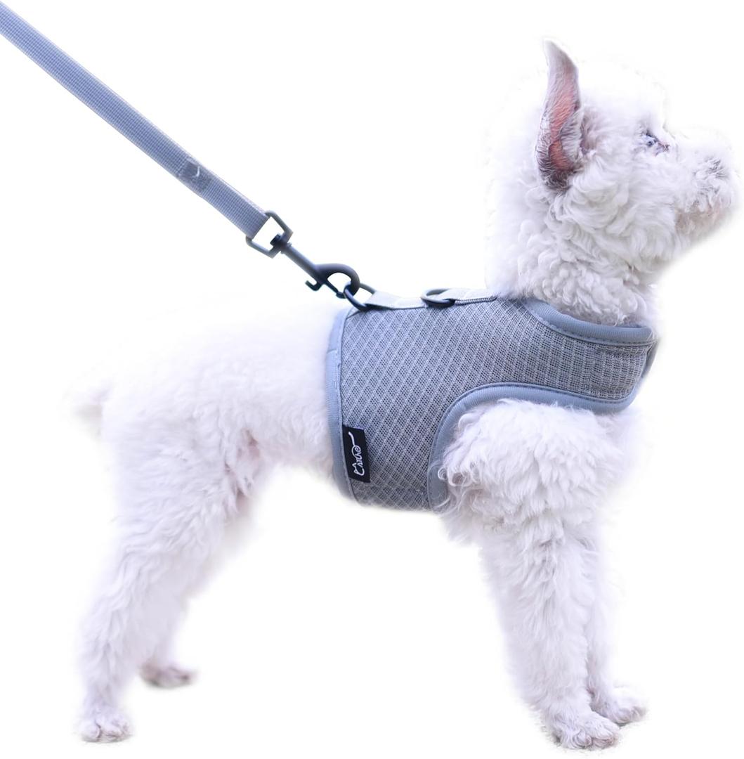Small Dog Harness and Leash Set Small Pet Harness for Summer, Adjustable Soft Padded Dog Vest for Poodle, Pomeranian, Chihuahua, Minlature Pinscher Under 10LBS, Solid Grey Mesh Fabric, L