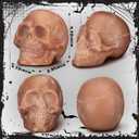 Halloween Terracotta Color Plastic Skull 5.9 Inch Life Size Human Skeleton Head Model for Halloween Indoor Outdoor Decor Party Centerpiece