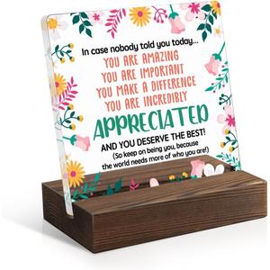 You Are Incredibly Appreciated Acrylic Sign with Wooden Stand, Appreciation Gift for Colleague, Cheer Up Gift for Friend Daughter Sister, Thank You Gift for Coworker, Office Gift for Colleague (SYB067)