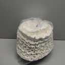 BUNN Commercial Tea & Paper Coffee Filters, 20138.1000 White, 1.5 Gallon, 500 count